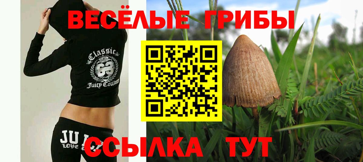 Псилоцибиновые грибы MAGIC MUSHROOMS  Вход с VPN  Дедовск 